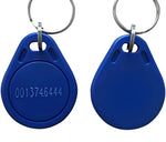 Clé RFID RC522 125kHz avec deux porte clés bleu et anneaux métalliques